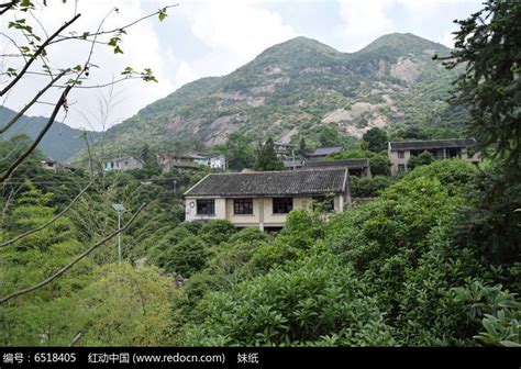 橋上的房子|小鎮建在橋上,一夜爆紅全網，你沒有聽錯,在重慶市福嶺區的離鄉。